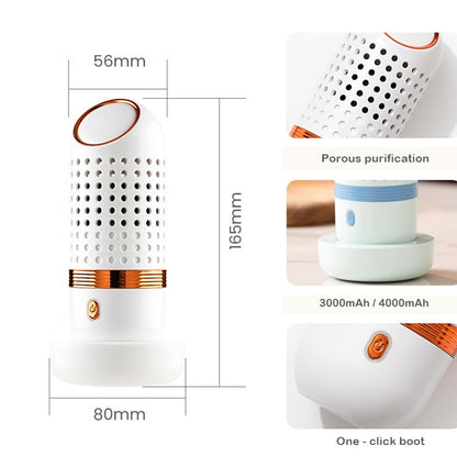 Portable Fruit Vegetable Purifier Sterilizer